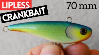 Making a LIPLESS CRANKBAIT LURE That Catches Fish