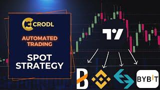 Automating Tradingview Indicators with Spot | Spot Tradingview connection.