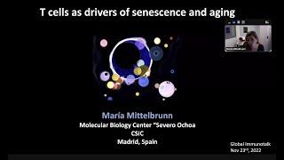 "T cells as drivers of senescence and aging" by Dr. Maria Mittelbrunn