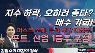 지수 하락, 오히려 좋다? 매수 기회! 머스크 수혜, 급락 구간 대안주! 포트, 산업 1등주 구성! #김정수 #마감의정석 #투자전략 #머스크 #반도체