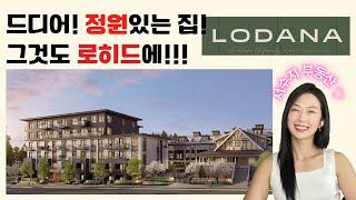 ‍‍‍ 사이즈+NO층간소음+넓은패티오+위치! 다 가졌다! 로히드 타운하우스‍️ 신규분양 LODANA by 밴쿠버 신규분양 서수지 부동산