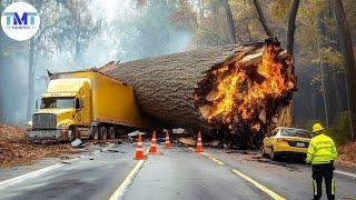 Extremely dangerous monster wood truck driving skills | climbing | heavy load