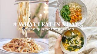 What I Eat in a Day: Vegan Quarantine Edition