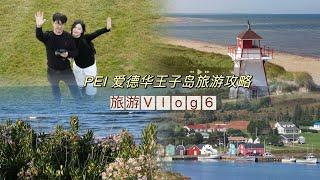 Travel Vlog | Travel to PEI |爱德华王子岛旅游攻略| 海钓和赶海我太爱了！|  Anne with an E 电视剧粉头终于来打卡 |  海鲜吃到腻~