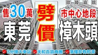 港人退休必睇樓盤歐陸庭院，大灣區東莞樟木頭東莞樓盤二手樓歐陸庭院總價30萬買45平方2房1廳+私家平台，約450尺小區樓下就係街市，樟木頭站3分鐘，樟木頭天一城大潤髮商超，天河百貨超市，價錢超抵