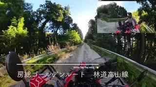 CRF250RALLY 房総林道ツーリング ゴールデンルート⑤ 林道高山線 2024/05/04