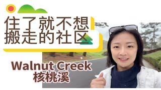 湾区还有便宜的学区房吗？Yes！Walnut Creek核桃溪老牌好学区｜平层｜父母退休住｜环境超级棒真正宜居｜离旧金山30分钟｜离南湾40分钟｜养老房｜大地块