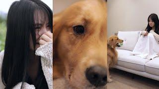 Sometimes Dog More Loyal Than Human| Real Emotional  Dog Story | #shorts