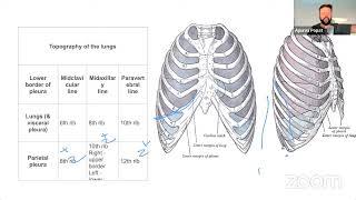 Normal Pulmonary Structure and Function Review for USMLE Step 1 | Dr. Apurva Popat