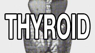 Thyroid Is the Regulator of Your Entire Existence