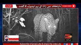 slamabad Wildlife Management Board instructs citizens to be careful on trails 4 and 6