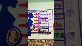 Infection during pregnancy motivation#short#medical students#maternal#infection#seminar#nursing