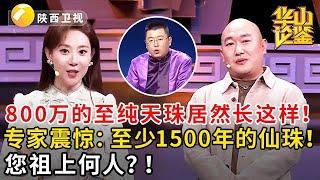 800万的至纯天珠居然长这样！专家震惊：至少1500年的仙珠！您祖上何人？！#鉴宝 #华山论鉴