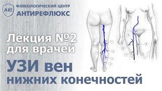 УЗИ вен лекция 2. Схема ультразвукового сканирования вен