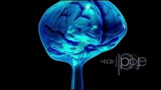 Neuroanatomy: The Cerebrospinal Fluid CSF