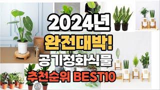 공기정화식물 추천 2024년 역대급 가성비 최신 인기제품TOP10