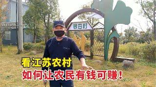 实拍江苏泰兴农村，看他们如何搞活经济，让农民有钱可赚