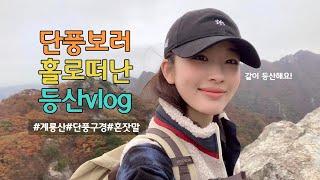 [등산vlog] 나홀로 계룡산 등산ㅣ단풍구경ㅣ힐링