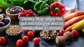 Understanding how fiber intake can protect against obesity by interacting with the gut microbiota