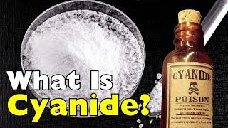 What Is Cyanide? The Truth Behind the World's Most Infamous Poison