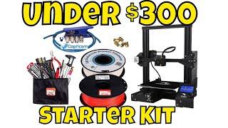 Under $300 - 3D Printing Starter Kit Including Creality Ender 3