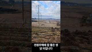 전주시 원동 토지매매 250102