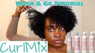 Wash and Go Tutorial Using CurlMix!! | BEAUTYBYAJ