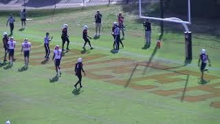 Highlights Tusculum Football vs Carson-Newman (Nov 9, 2024)