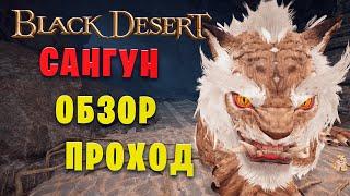 Сангун разбор механик и проход босса. Страж в наследии! (Black Desert)