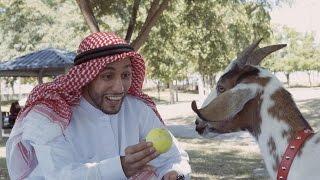 Man's Best Friend | Anwar Jibawi & Jeff Wittek