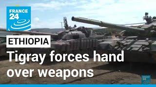 Tigray forces begin handing over heavy weapons to Ethiopian army • FRANCE 24 English