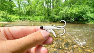 Creek Fishing w/ TINY Baits for Whatever Bites!