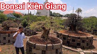 Khám phá khu vườn hàng ngàn tác phẩm cây Bonsai ở Kiên Giang