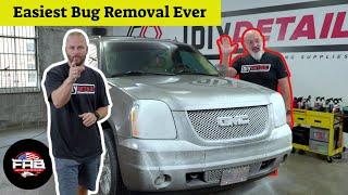 Touchless and Easiest Bug Removal Method Ever!