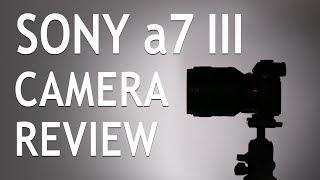 Sony α7 III In-Depth Camera Review