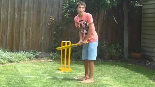 Backyard Cricket 2011