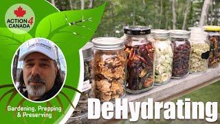 A4C Prepper Dan Vlog7 Dehydrating