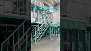 40t/d Rice Mill Plant-Rice Process Machinery Manufacturer-hongjia Grain Machinery #ricemillsupplier
