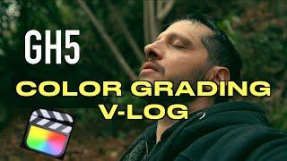 COLOR GRADING V-LOG in FINAL CUT PRO X