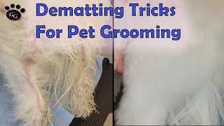 Dematting Tricks and Techniques for Pet Grooming - Gina's Grooming