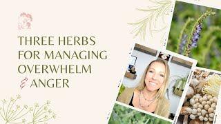 Three Herbs for Managing Overwhelm and Anger