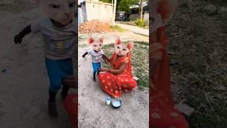 lalla lalla Lori  cute cat  short  viral #funny video
