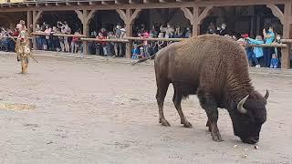 Pullman City Wild West Show 2021