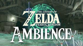 Tears of the Kingdom | Construct Factory | 1 Hour Relaxing Zelda Ambience Sounds ASMR