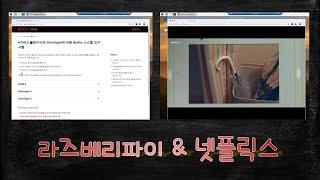 라즈베리 파이에서 넷플릭스 시청하기 / 파일 다운로드 & 설치 - 끝!!!