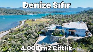 Denize Sıfır Çiftlik Leb-i Derya 4.000 m2 İçerisinde Muğla E-568