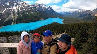 Peyto Lake Walking Tour Banff National Park Alberta Canada Top Things To Do In Banff And Jasper