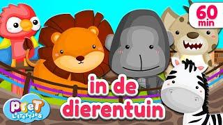 Pretlettertjes • Dierengeluiden in de Dierentuin • 60 min Special