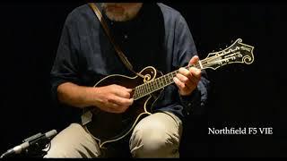 mandolin comparison: Collings MF5 / Northfield NF5 Artist VIE / Ellis A5