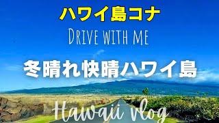 ハワイ島コナVlog 冬晴れ最高